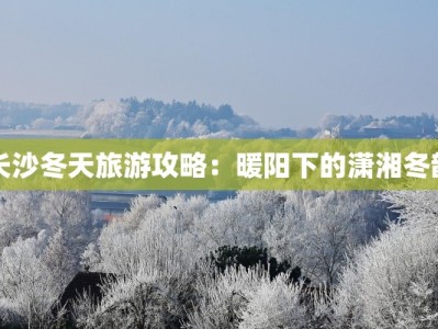 义乌每天发的物流快递：全球贸易的脉动引擎