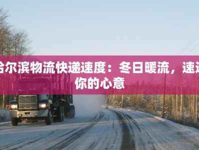 哈尔滨物流快递速度：冬日暖流，速达你的心意