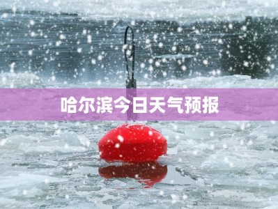 哈尔滨今日天气预报