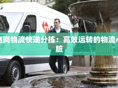 赵岗物流快递分拣：高效运转的物流心脏