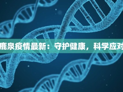 伊滨区物流快递到西安：高效便捷，连接中原物流新活力
