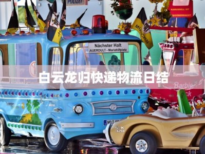 白云龙归快递物流日结