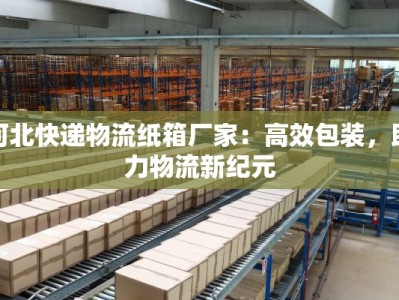 河北快递物流纸箱厂家：高效包装，助力物流新纪元