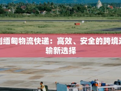 南阳龙虾套餐团购价格揭秘：鲜美海味，低价享乐