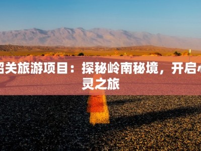 快递物流许可证：开启高效物流新时代的黄金钥匙