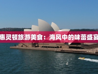 惠灵顿旅游美食：海风中的味蕾盛宴