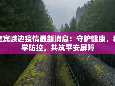 圆通快递逆向物流：高效退货，绿色循环新选择