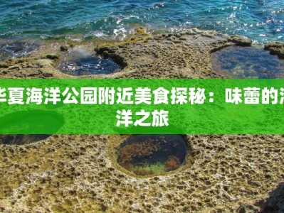 华夏海洋公园附近美食探秘：味蕾的海洋之旅