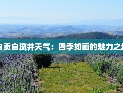 自贡自流井天气：四季如画的魅力之城