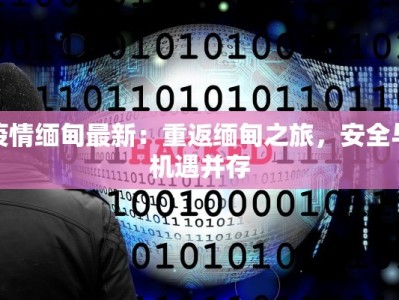 白鸟湖万达旅游城停工：机遇中的重生与未来憧憬