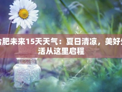 合肥未来15天天气：夏日清凉，美好生活从这里启程