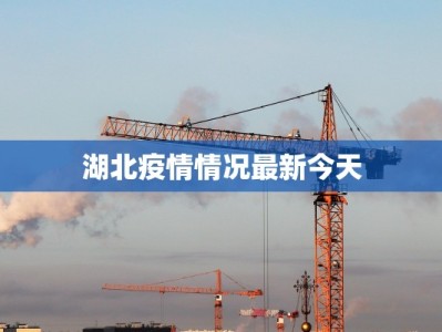 宜章安能物流快递：连接乡土与世界的可靠伙伴