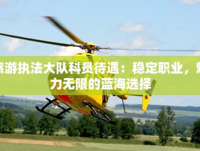 旅游执法大队科员待遇：稳定职业，魅力无限的蓝海选择