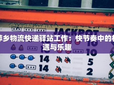 萍乡物流快递驿站工作：快节奏中的机遇与乐趣