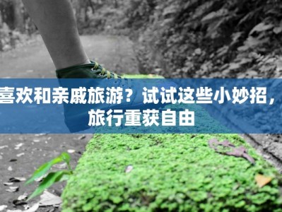不喜欢和亲戚旅游？试试这些小妙招，让旅行重获自由