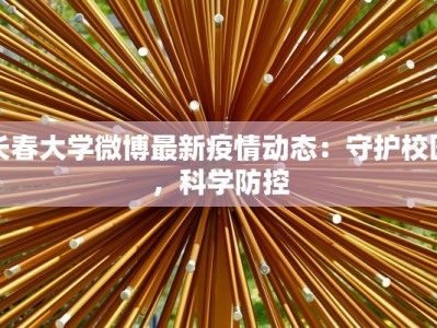 快递揽收完没物流了？别慌，这可能是你的“惊喜快递”在酝酿中！