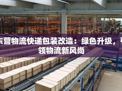 东营物流快递包装改造：绿色升级，引领物流新风尚