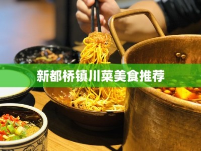 新都桥镇川菜美食推荐