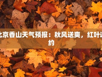 你无声无息舞蹈