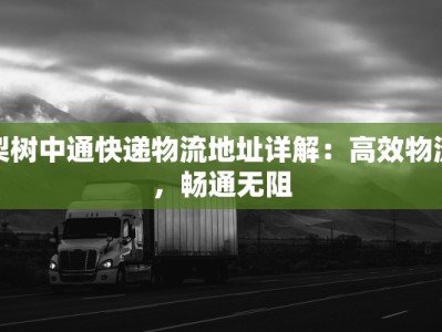 梨树中通快递物流地址详解：高效物流，畅通无阻
